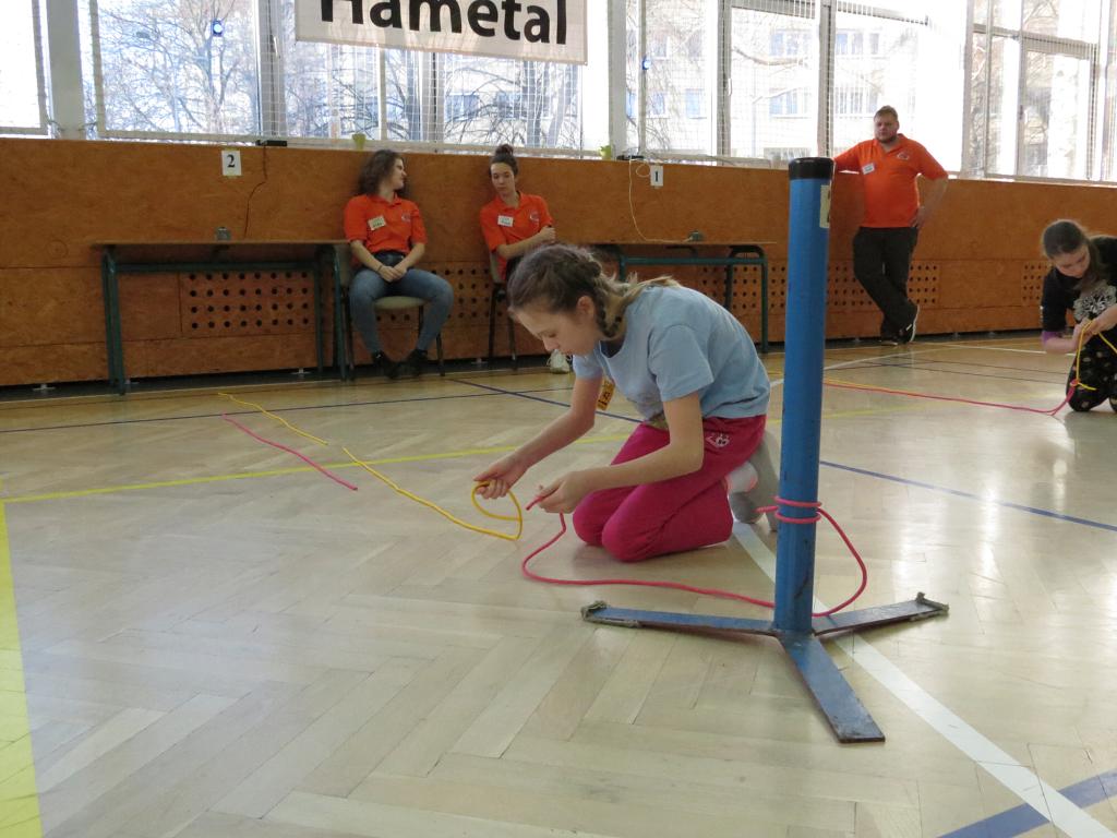 Uzlařská regata - 19.1.2019