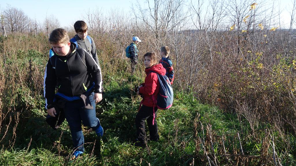 Trampolíny - 24.11.2019