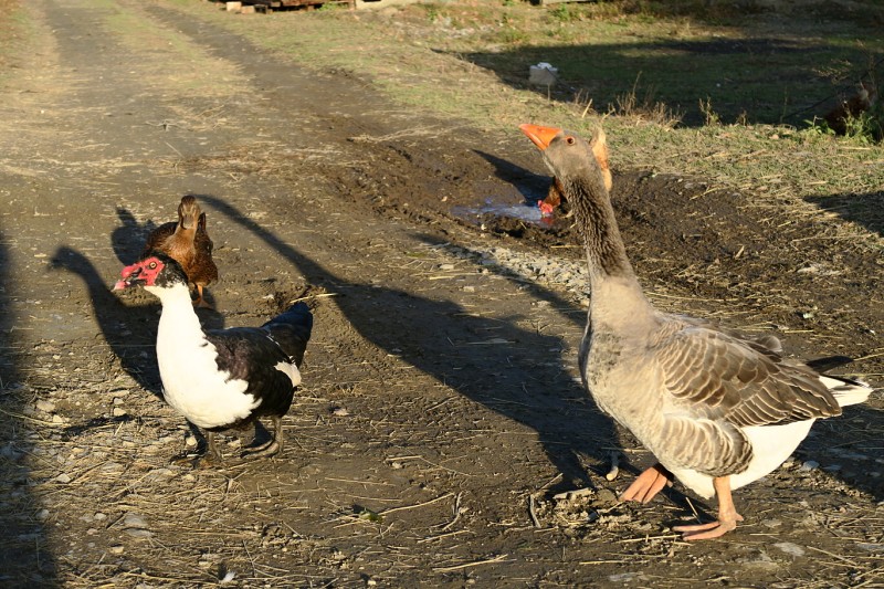 Klokočov - 19.-21.11.2021