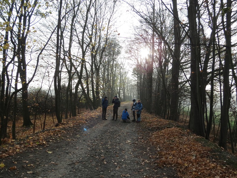 CHKO Poodří - 13.11.2021