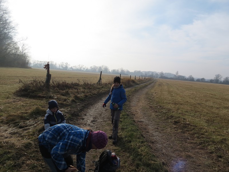 CHKO Poodří - 13.11.2021