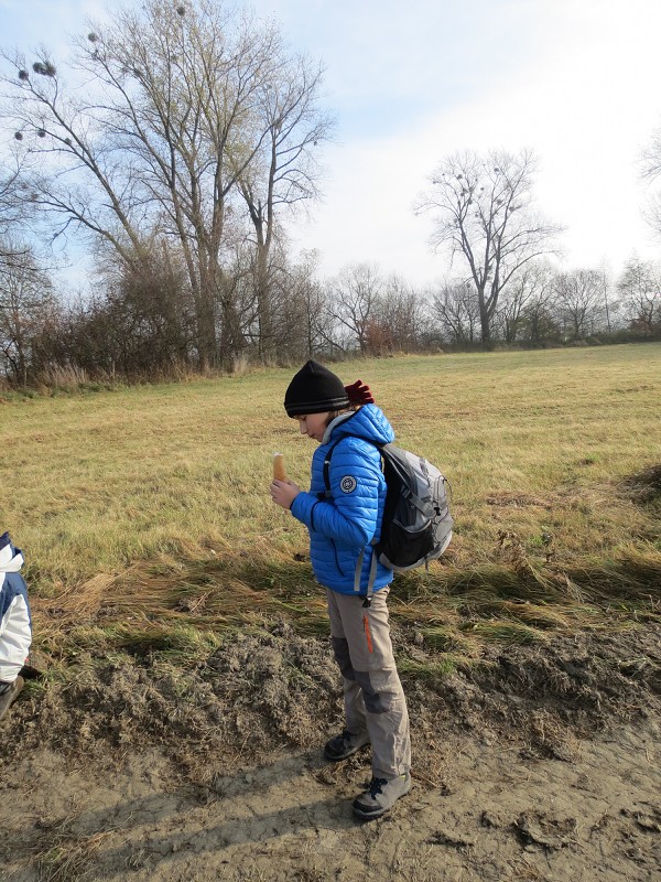 CHKO Poodří - 13.11.2021