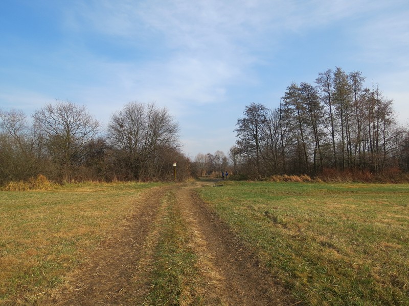 CHKO Poodří - 13.11.2021