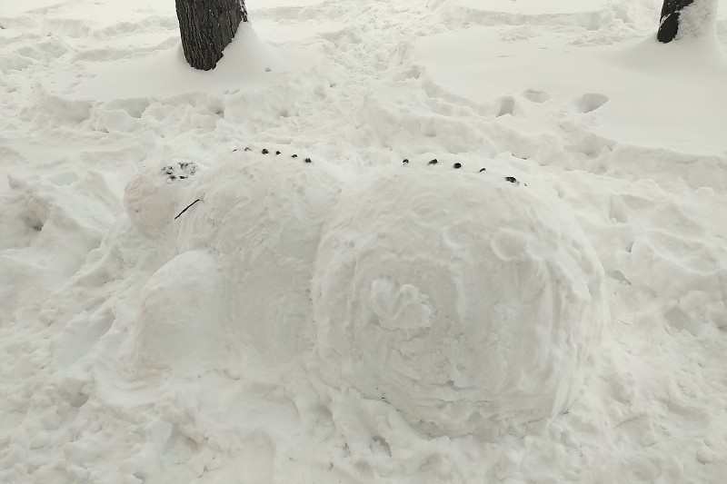 16.-18.12.2022 - Vánoční Višňovka